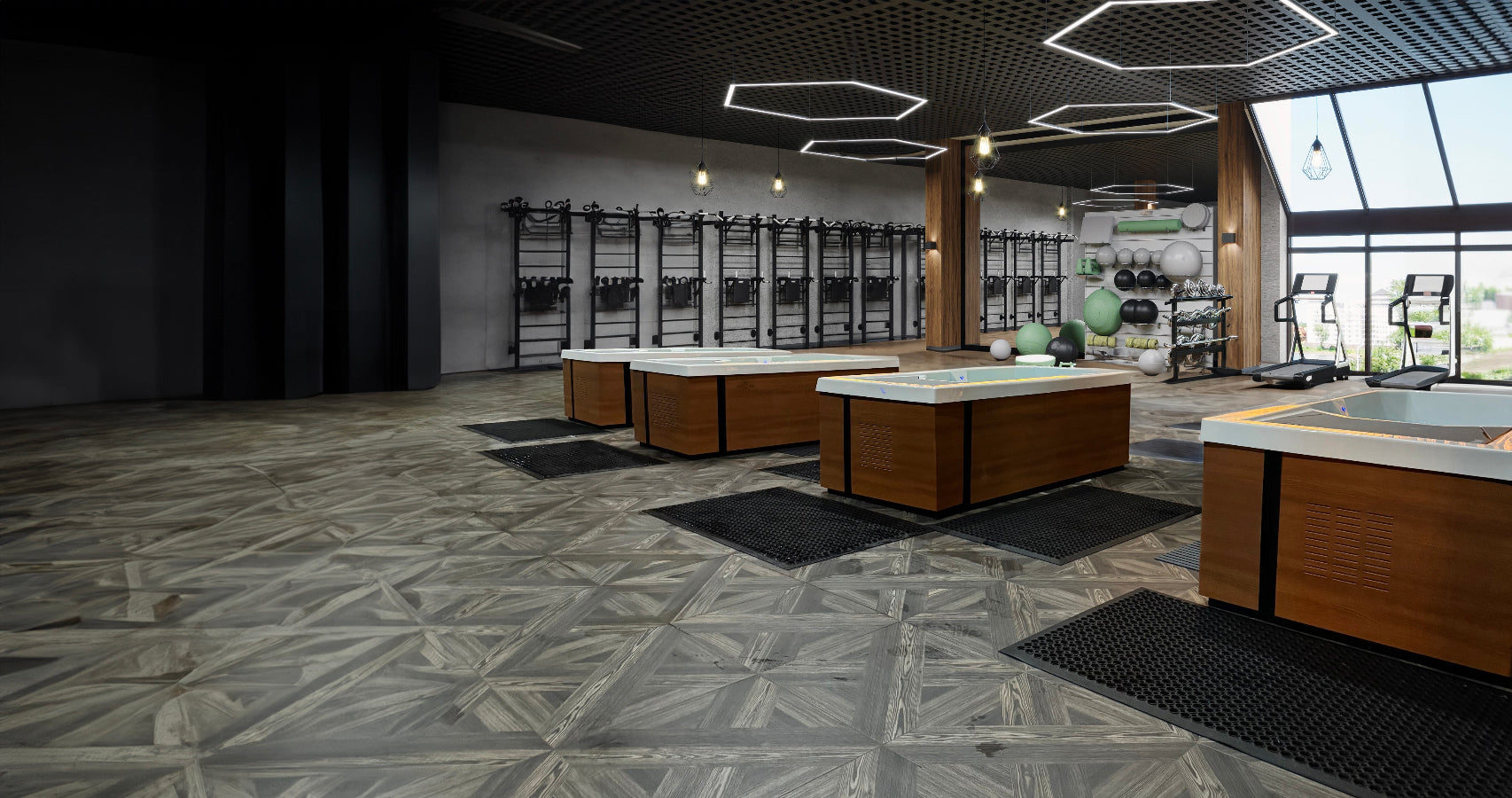 Alpine Terrains In Commercial Gym