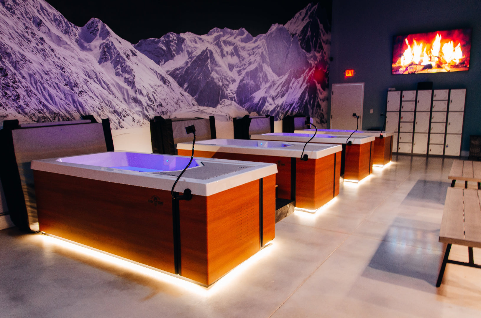 Four Alpines in Commercial Gym